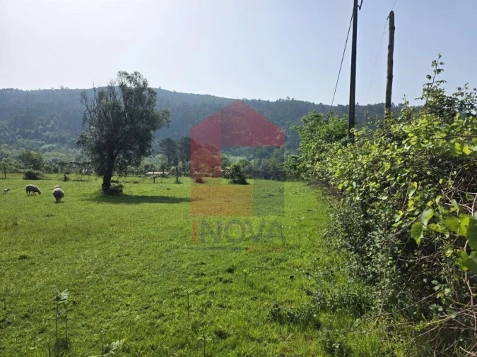 Moradia T3 para Venda em Esqueiros, Nevogilde e Travassós Foto 33