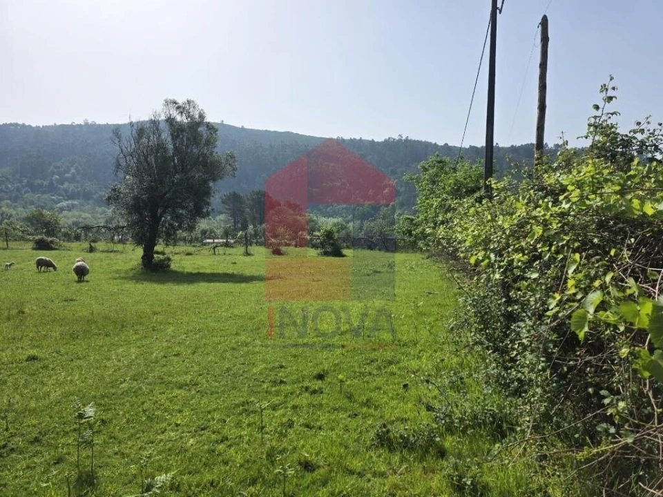 Moradia T3 para Venda em Esqueiros, Nevogilde e Travassós Foto 33