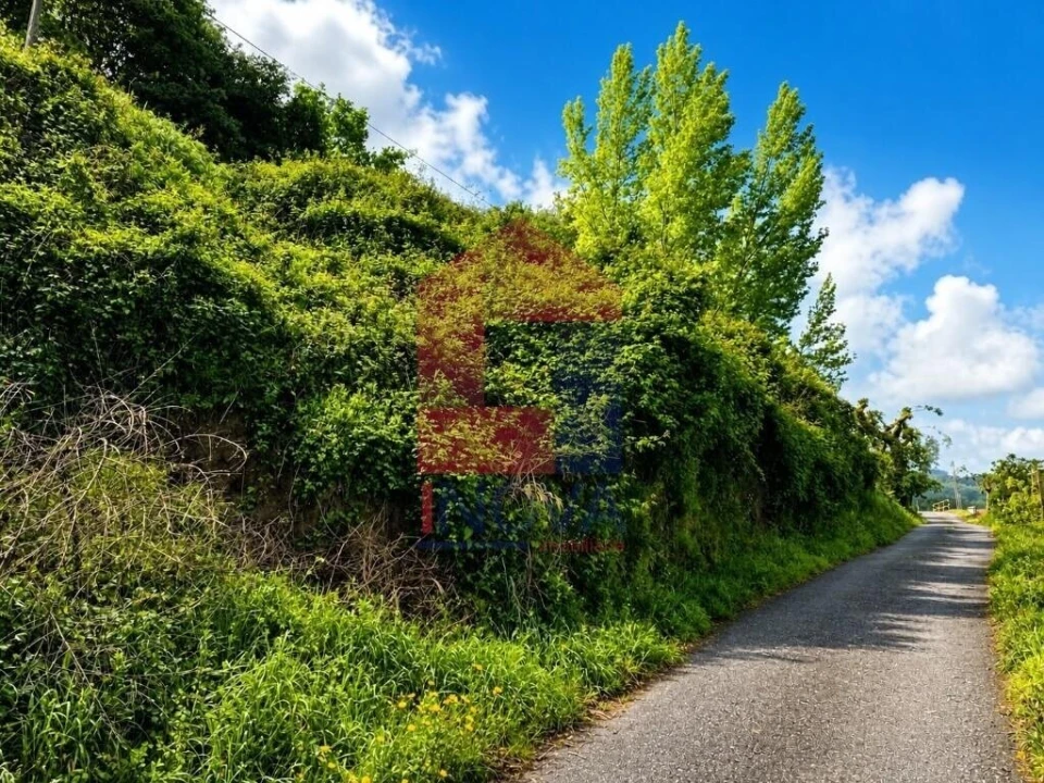 Terreno para Venda em Ribeira do Neiva Foto 1