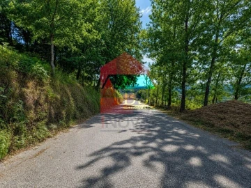 Terreno para Venda em Ribeira do Neiva
