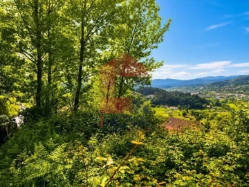 Terreno para Venda em Ribeira do Neiva