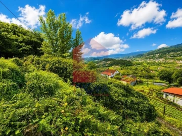 Terreno para Venda em Ribeira do Neiva