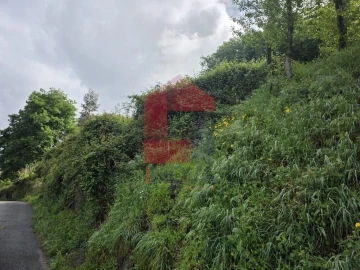 Terreno para Venda em Ribeira do Neiva