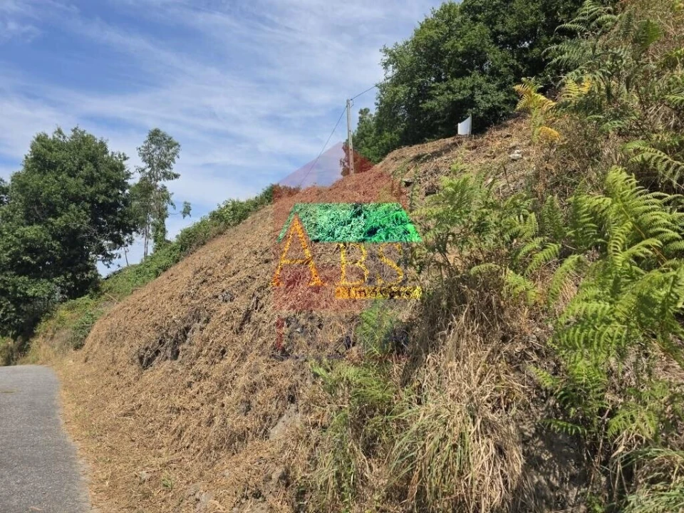 Terreno para Venda em Ribeira do Neiva Foto 6