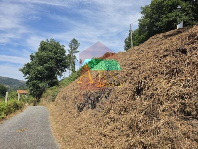 Terreno para Venda em Ribeira do Neiva Foto 5