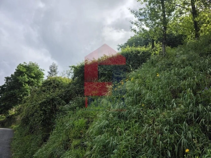 Terreno para Venda em Ribeira do Neiva Foto 2