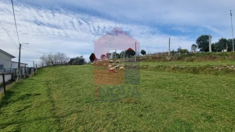 Terreno para Venda em Ribeira do Neiva