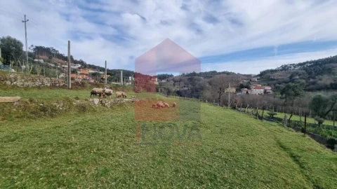 Terreno para Venda em Ribeira do Neiva