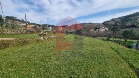 Terreno para Venda em Ribeira do Neiva
