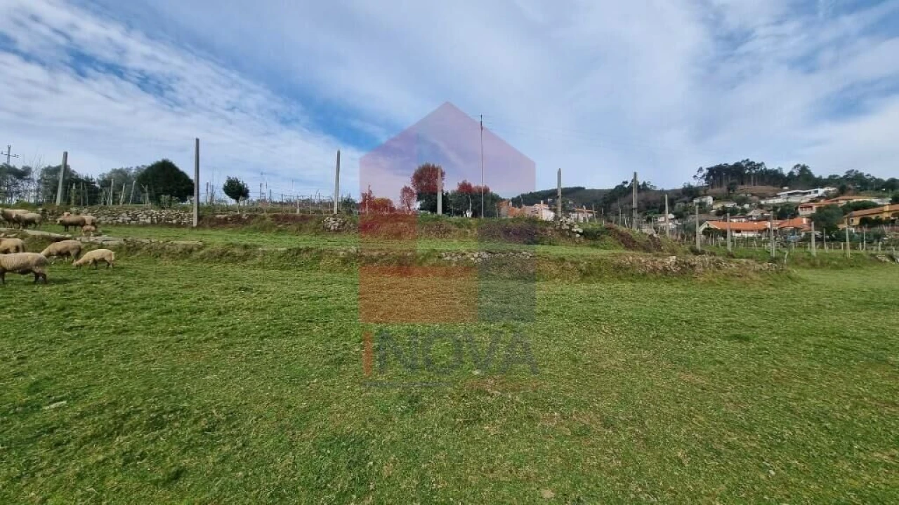 Terreno para Venda em Ribeira do Neiva Foto 9