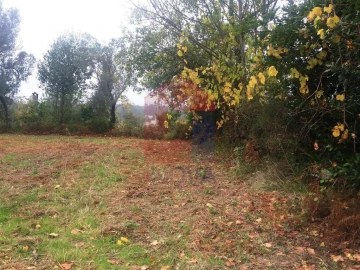 Terreno para Venda em Ribeira do Neiva