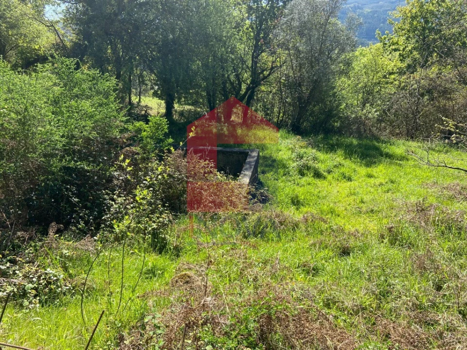 Moradia T0 para Venda em Vade Foto 15