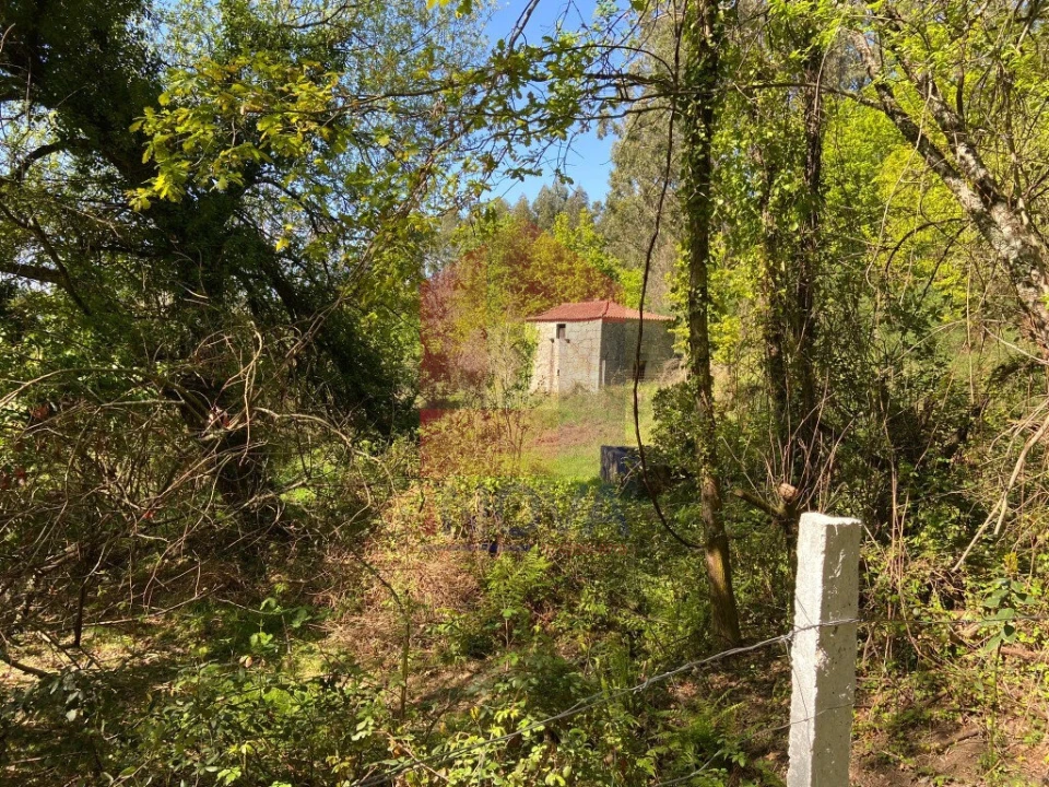 Moradia T0 para Venda em Vade Foto 34