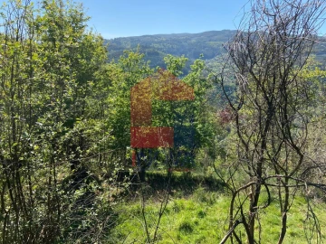 Moradia T0 para Venda em Vade