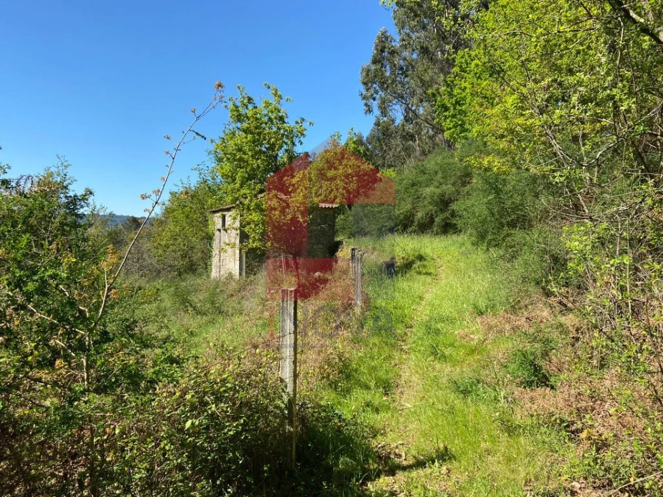 Moradia T0 para Venda em Vade Foto 29