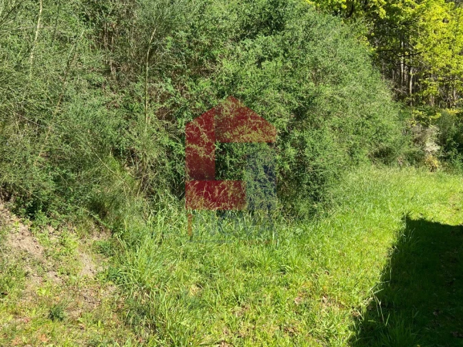 Moradia T0 para Venda em Vade Foto 25