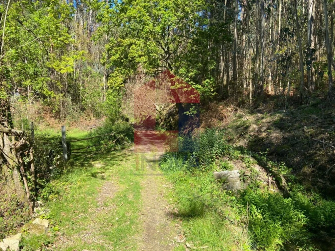 Moradia T0 para Venda em Vade Foto 35