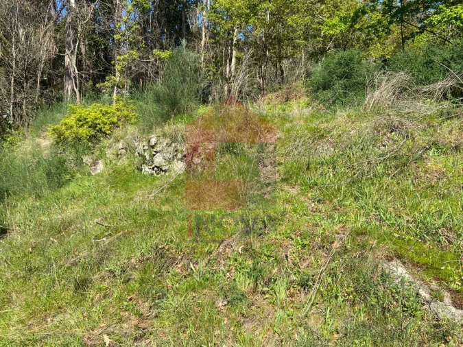 Moradia T0 para Venda em Vade Foto 21