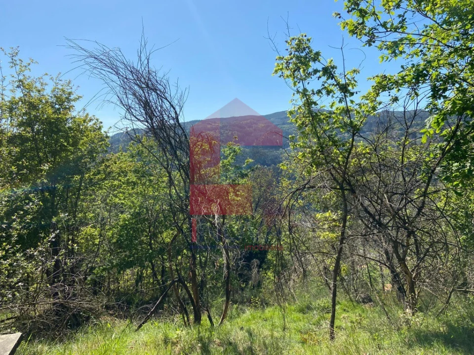 Moradia T0 para Venda em Vade Foto 18