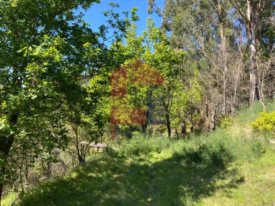 Moradia T0 para Venda em Vade Foto 23