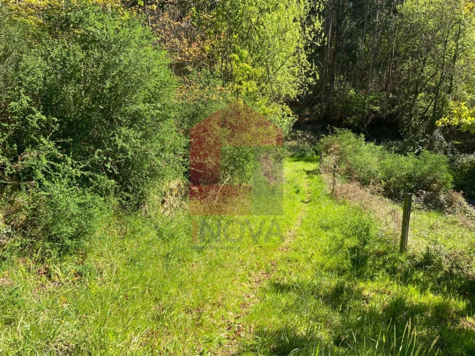 Moradia T0 para Venda em Vade Foto 32