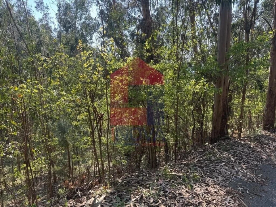 Terreno para Venda em Sande, Vilarinho, Barros e Gomide Foto 14