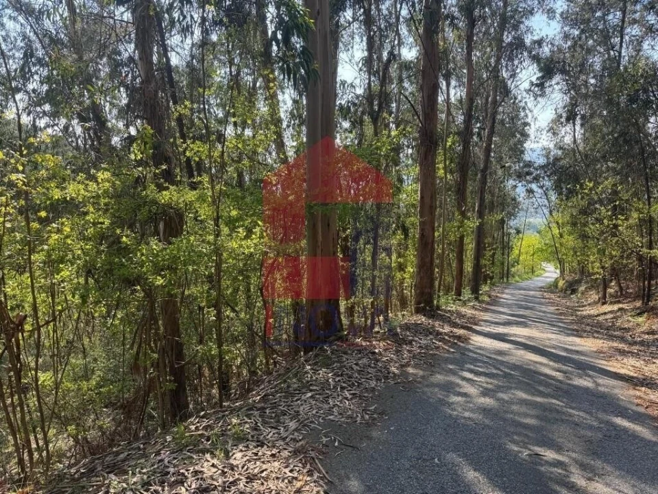 Terreno para Venda em Sande, Vilarinho, Barros e Gomide Foto 19