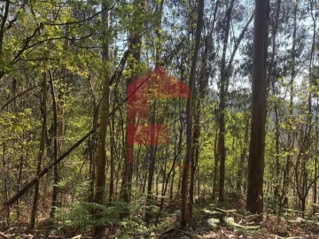 Terreno para Venda em Sande, Vilarinho, Barros e Gomide