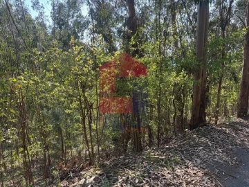 Terreno para Venda em Sande, Vilarinho, Barros e Gomide
