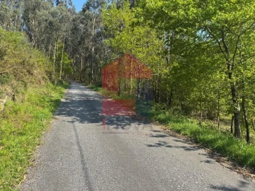 Terreno para Venda em Sande, Vilarinho, Barros e Gomide