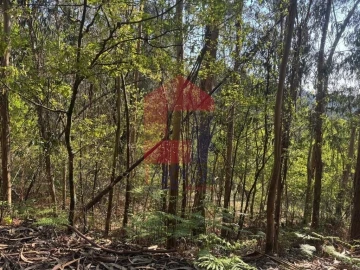 Terreno para Venda em Sande, Vilarinho, Barros e Gomide