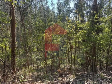 Terreno para Venda em Sande, Vilarinho, Barros e Gomide