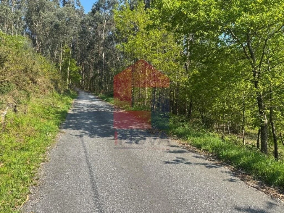 Terreno para Venda em Sande, Vilarinho, Barros e Gomide Foto 16
