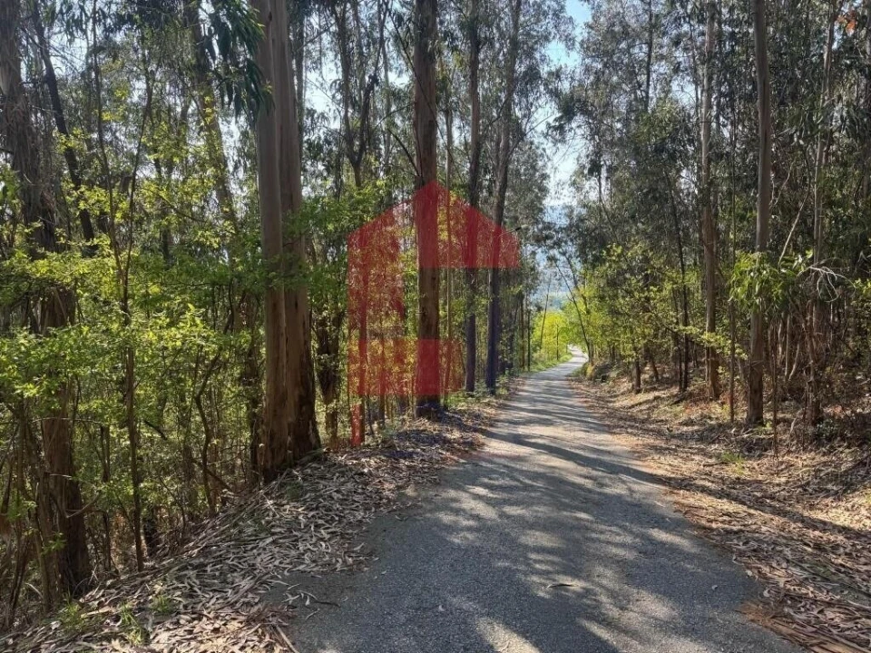 Terreno para Venda em Sande, Vilarinho, Barros e Gomide Foto 20