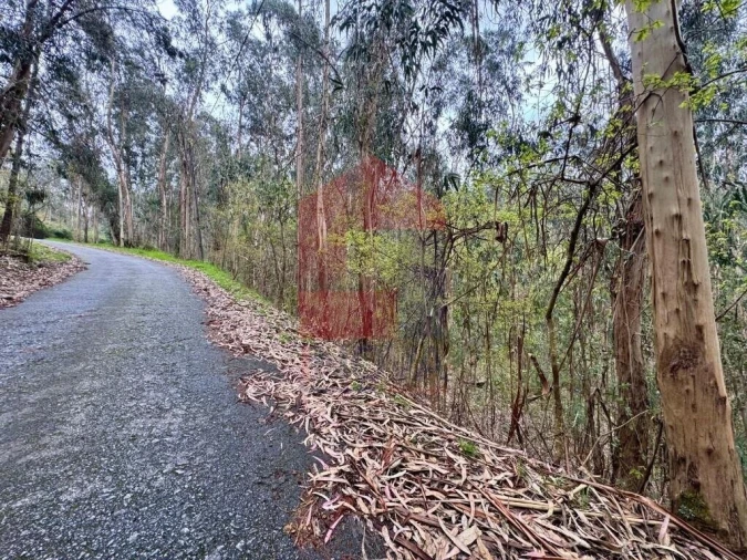 Terreno para Venda em Sande, Vilarinho, Barros e Gomide Foto 12