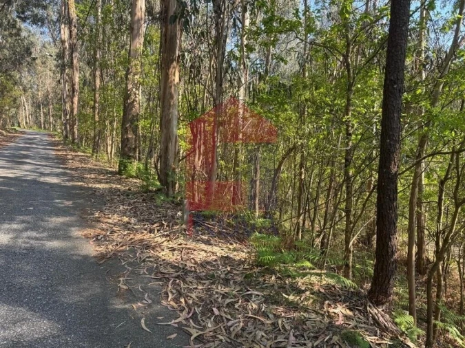 Terreno para Venda em Sande, Vilarinho, Barros e Gomide Foto 7
