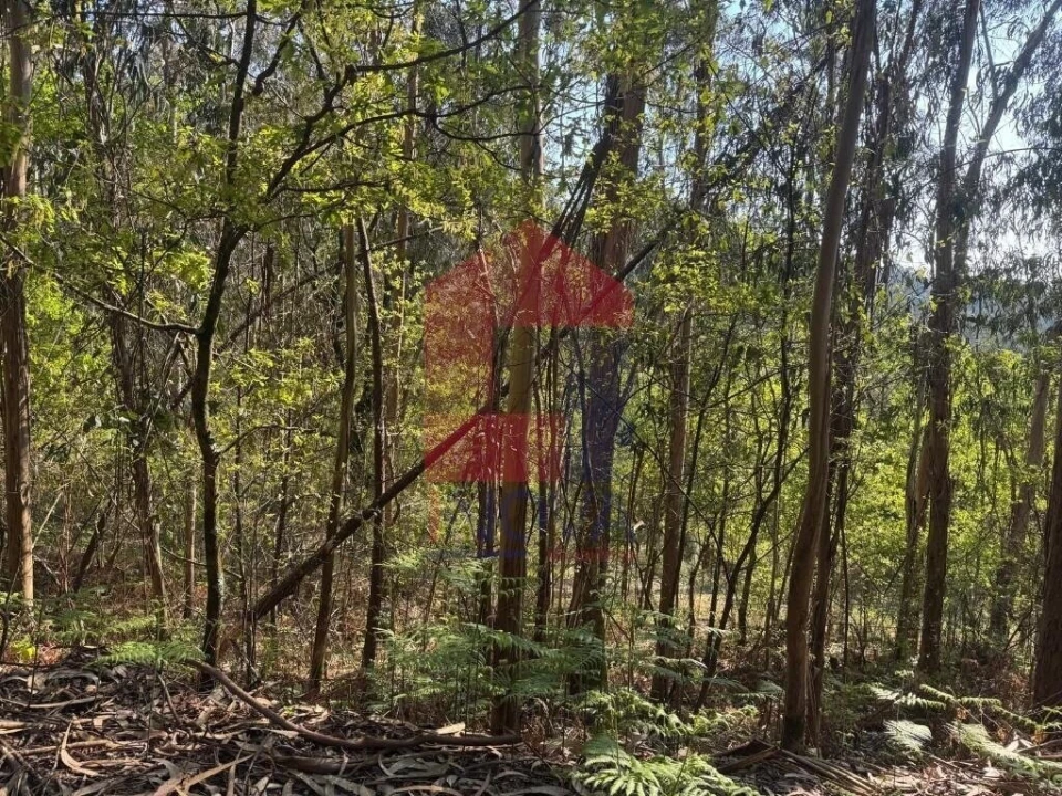 Terreno para Venda em Sande, Vilarinho, Barros e Gomide Foto 8