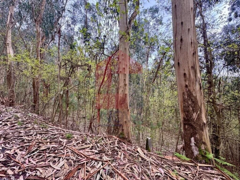 Terreno para Venda em Sande, Vilarinho, Barros e Gomide Foto 2