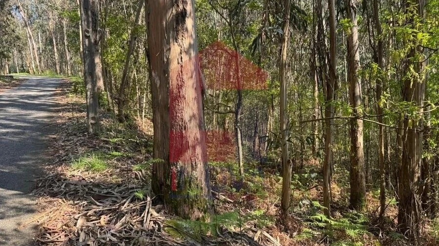 Terreno para Venda em Sande, Vilarinho, Barros e Gomide
