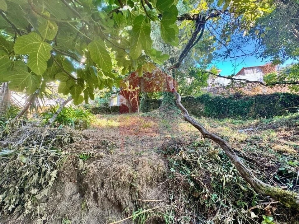 Moradia T2 para Venda em Ribeira do Neiva Foto 68