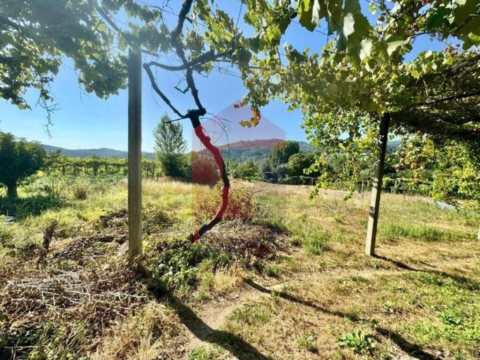 Moradia T2 para Venda em Ribeira do Neiva Foto 69