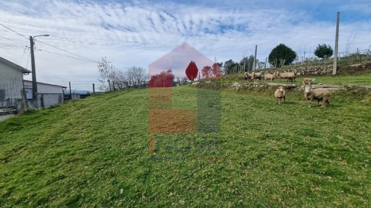 Terreno para Venda em Ribeira do Neiva Foto 5