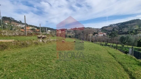 Terreno para Venda em Ribeira do Neiva