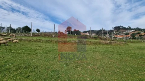 Terreno para Venda em Ribeira do Neiva