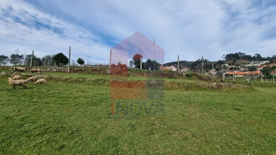 Terreno para Venda em Ribeira do Neiva Foto 11