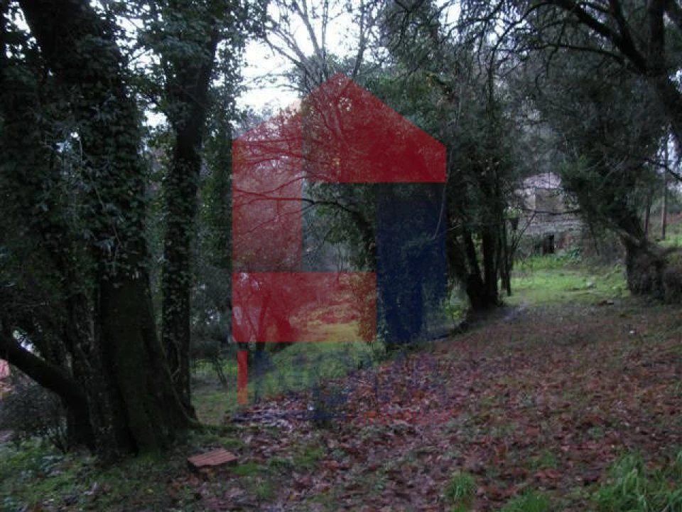 Quinta T1 para Venda em Vade Foto 4