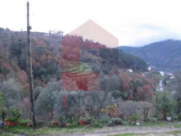 Quinta T1 para Venda em Vade