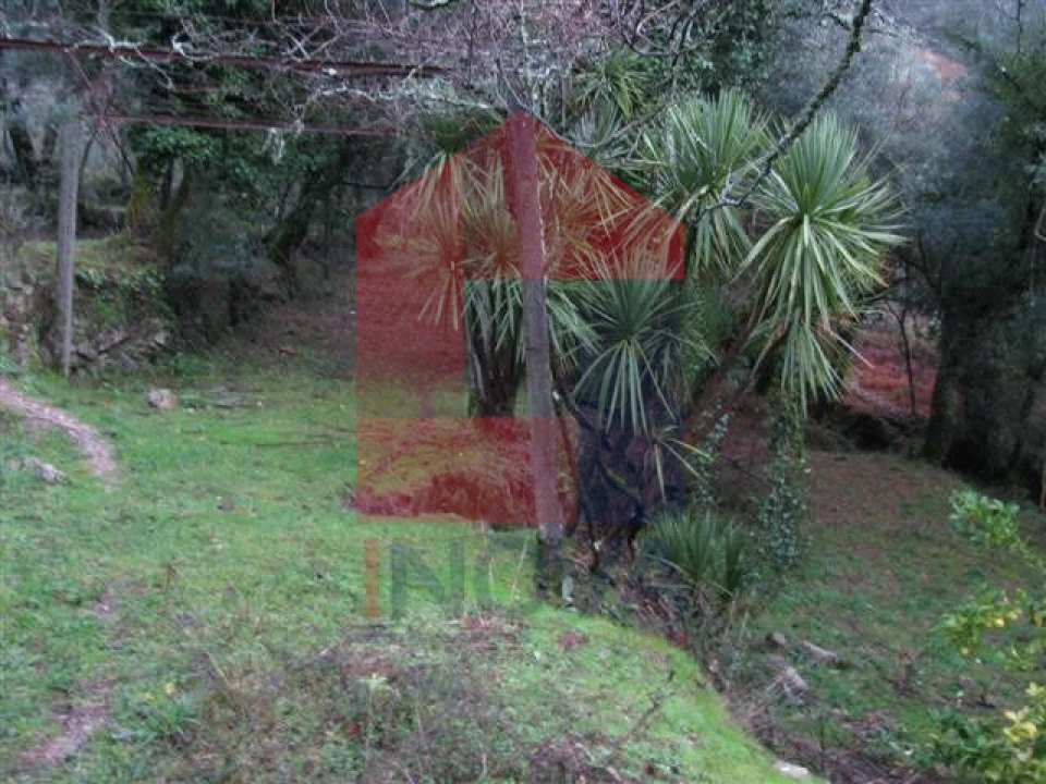 Quinta T1 para Venda em Vade Foto 3