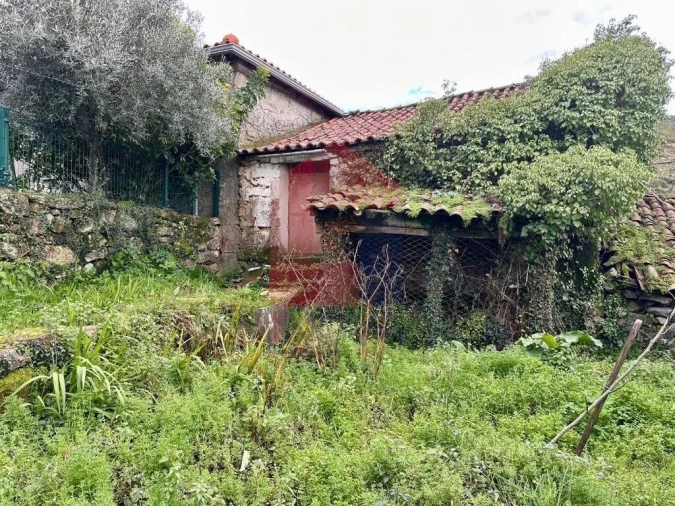 Moradia T0 para Venda em Vila Chã (São João Baptista e Santiago) Foto 9