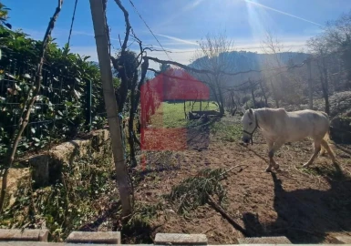 Terreno para Venda em Vade